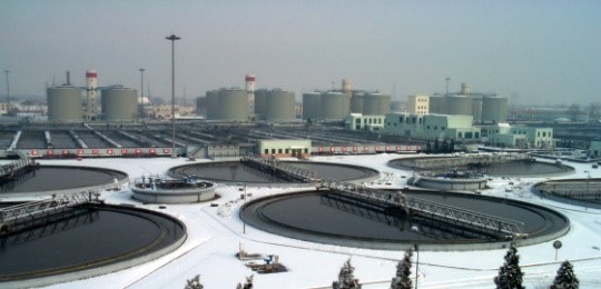 121.jpg